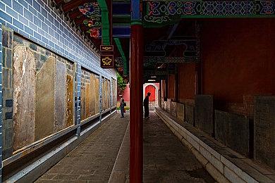 《网络奇兵》官方招募曝光 正在为UE5大型项目做准备